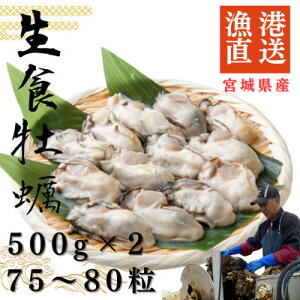 yӂ邳Ɣ[Łz{錧Y@Ny@500g×2yzsnFEꌧEBzy1550892z