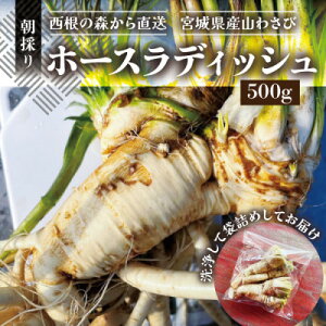 yӂ邳Ɣ[Łzy̐X璼zz[XfBbV(500g) {錧Y ̂_ƒ̎R킳сy1557230z