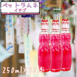 yӂ邳Ɣ[Łzybgl C`S(250ml×30{)y1598130z