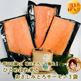【ふるさと納税】訳ありお刺身とろサーモン約200g×3袋&ひとめぼれ米2合のセット【配送不可地域：離島】【1632970】