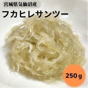 yӂ邳Ɣ[Łzy{錧CYztJqTc[250gyzsnFzy1642434z