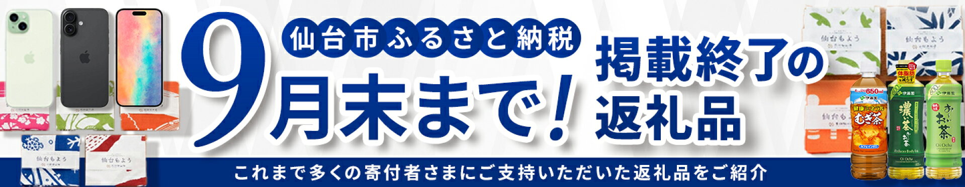 9月末まで！掲載終了の返礼品