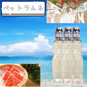yӂ邳Ɣ[ŁzyȂzybgli250ml×30{j |  \tghN TC_[ lC  