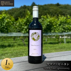 yӂ邳Ɣ[Łz}\[rjIYama Sauvignon2023@750ml×1{yԃC  AR[ AR[ ӎ ƈ  ݉ W܂ o[xL[ BBQ Cxg ݕz |   l