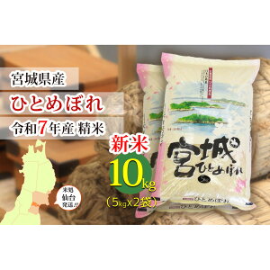 【ふるさと納税】【宮城県産 ひとめぼれ】令和7年度産 精米 < 選べる内容量 5kg / 10kg > 米 お米 こめ コメ ご飯 ごはん】 | お米 こめ 白米 食品 人気 おすすめ 送料無料
