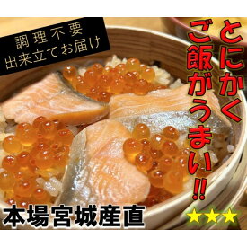 【ふるさと納税】宮城 三陸 本場の味 極上鮭とイクラの味 ご飯が旨い◎鐘崎の「はらこ飯」4P【鮭 さけ いくら惣菜 魚介類 水産 食品 人気 おすすめ 仙台市 ひな祭り こどもの日 母の日 父の日 お中元 敬老の日 お歳暮七五三】