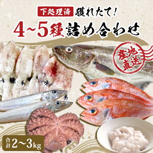 yӂ邳Ɣ[ŁzN lߍ킹 Zbg 2`3kgi4`5j① VN ς t! {錧Y Y N  y N{bNX l  Hה  Ƃꂽ 