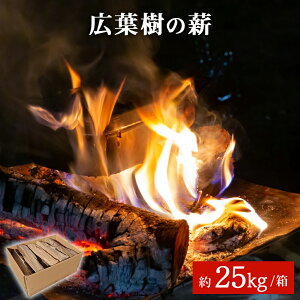 yӂ邳Ɣ[Łzd Y Lt̐d 25kg/ AEghA o[xL[ BBQ ~ h {錧 Ίs