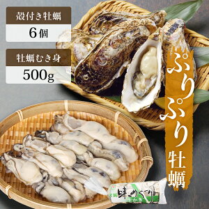 yӂ邳Ɣ[Łzys\zy y O {錧Y ނg 500g kt 6 y݃Zbg kty y g ① O VN Wsgp  {錧 Ίs