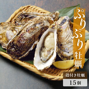 yӂ邳Ɣ[Łzy {錧Y kty i15j Hp ① O VN  Ăy y {錧 Ίs