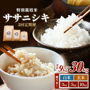 yӂ邳Ɣ[Łz   S3 TTjVL ʍ͔| v9kg`30kg  3kg 5kg 10kg Iׂ     ɂ ƒp ͔|Ԓ _sgp w엿sgp { Ί {