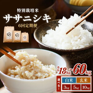 yӂ邳Ɣ[Łz   S6 TTjVL ʍ͔| v18kg`60kg  3kg 5kg 10kg Iׂ     ɂ ƒp ͔|Ԓ _sgp w엿sgp { Ί {