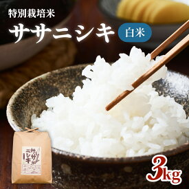 【ふるさと納税】令和5年産特別栽培米 ササニシキ 白米 3kg