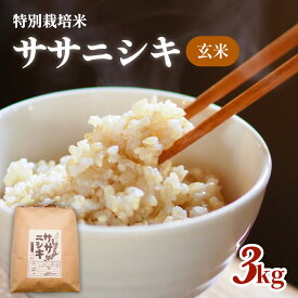 【ふるさと納税】令和5年産 特別栽培米 ササニシキ 玄米 3kg