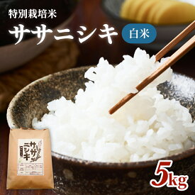 【ふるさと納税】 令和5年産特別栽培米 ササニシキ 白米 5kg