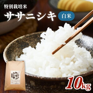 yӂ邳Ɣ[Łz ʍ͔| TTjVL  10kg