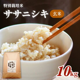 【ふるさと納税】 令和5年産特別栽培米 ササニシキ 玄米 10kg