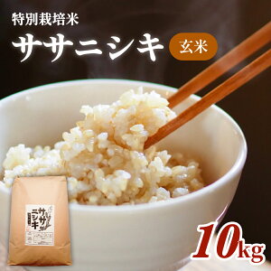 yӂ邳Ɣ[Łz  ʍ͔| TTjVL  10kg  10L ĐH  ͂ H ƒp ͔|Ԓ _sgp w엿sgp uh ɂ  H Ö {錧