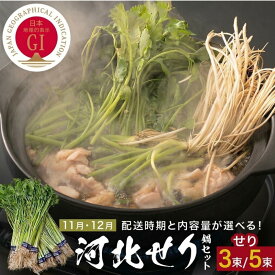 【ふるさと納税】せり鍋セット ＜配送月と内容量が選べる＞ せり3束 1~2人前 / 5束 3-4人前 河北せり 鍋 せり 鍋セット 具材入り 宮城県産 セリ鍋 芹 根せり 根っこ 宮城県 石巻市 長ねぎ パックご飯 スープ 鶏もも肉 郷土料理 野菜 鍋 お取り寄せ グルメ 人気 ご当地鍋