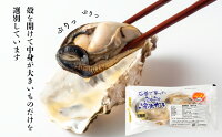 【ふるさと納税】冷凍かきハーフシェル(加熱用)2個入×10パック