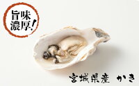 【ふるさと納税】氷温熟成かき生食用(冷凍)300g×6パック
