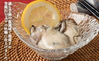 【ふるさと納税】氷温熟成かき生食用(冷凍)300g×6パック