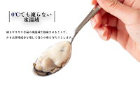 【ふるさと納税】氷温熟成かき生食用(冷凍)300g×5パック