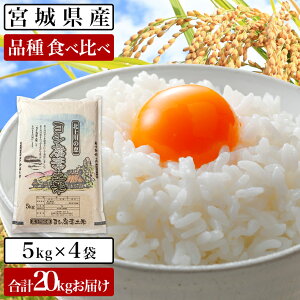 つや姫 10kgの人気商品 通販 価格比較 価格 Com