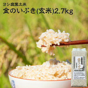 yӂ邳Ɣ[Łz  ߘa7N Y  ̂Ԃ 2.7kg ( 900g × 3 ) {錧Y Vty ^pbN    v`v`H ^ ƒp   ͂ ĐH NH H