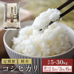 yӂ邳Ɣ[Łz  ߘa7NY RVqJ  5kg-30kg Pi or   R    Ђ   Ђ  3 6