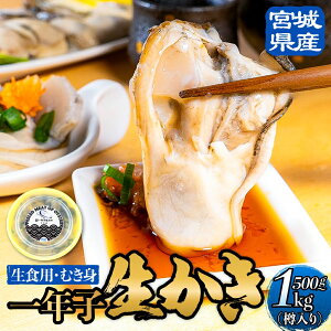 yӂ邳Ɣ[Łz{錧Y Hpy NqJL ނg 500g - 1kg  JL g y vv Z