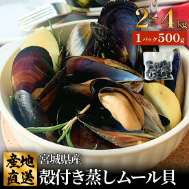 【ふるさと納税】《内容量が選べる》宮城県 三陸産 殻付き蒸しムール貝 2kg / 4kg 国産 石巻市 冷凍 個包装 真空パック 加熱調理済 味噌汁 リゾット パエリア 簡単調理 青空レストラン 宮城県ムール貝 魚介 海鮮 貝 三陸 宮城県 石巻市 送料無料