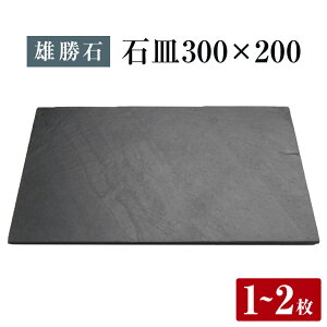 yӂ邳Ɣ[ŁzyY΁zΎM 300×200 p Iׂ 1 / 2 VR  ɒB  j _ Ί { VRf