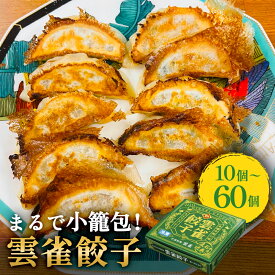 【ふるさと納税】《内容量が選べる》餃子 小籠包のような餃子! 雲雀餃子 10個 / 30個 / 60個セット 冷凍 中華 焼餃子 手包み 手作り 本格餃子 肉汁溢れる 冷凍餃子 おかず おつまみ お弁当 中華料理 お惣菜 焼き餃子 TAXIメシ ミヤテレ お取り寄せ グルメ 宮城県 石巻市