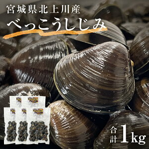 yӂ邳Ɣ[Łz kׂ̂ 1kgi200g×5j Ⓚ ΊY  ^pbN ݏ` L VW~ o` X`  o^[Ă ȒP Z  {錧 Ί