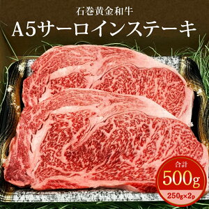 yӂ邳Ɣ[ŁzA5 T[CXe[L 500g ( 250g×2 ) t@[̐Ίa Ⓚ {錧Y Y a  T[C Xe[L Ԑg јa ~ ē BBQ AEghA 