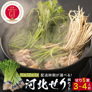 yӂ邳Ɣ[ŁzzIׂ遄 Zbg 5 3-4lO ͖k   Zbg ޓ {錧Y Z    {錧 Ίs ˂ pbN X[v {