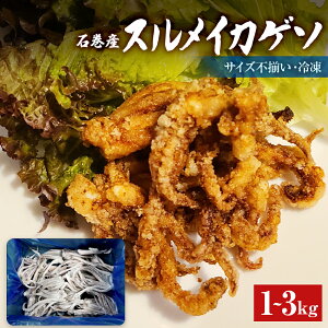 yӂ邳Ɣ[ŁzeʂIׂ遄 ΊsY XCJ Q\ 1kg / 3kg Ⓚ Y XCJ   CJ CJQ\ Q\̂ Mp ܂  ăCJ o[xL[ BBQ G u