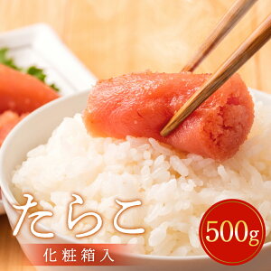 yӂ邳Ɣ[Łz炱 500giMEϔj ^R Ⓚ   Ε ɂ YHi 500O {錧 Ίs