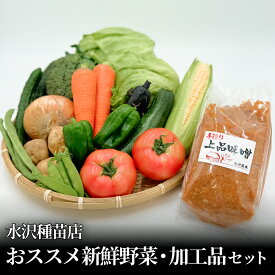 【ふるさと納税】野菜 水沢種苗店おススメ新鮮野菜・加工品セット 宮城県 石巻市 おやさい やさい お野菜 せっと 新鮮お野菜 旬 お届け 14日以内