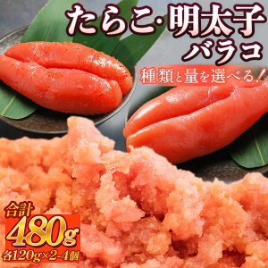 �y�ӂ邳�Ɣ[�Łz�ق������炱 �ق��������q ���炱 �����q �l�C ���т̂��� ���ɂ��� �����Ђ� �`���[�n�� �p�X�^ �f�B�b�v �^���R �߂񂽂� �Ԃԃo���R