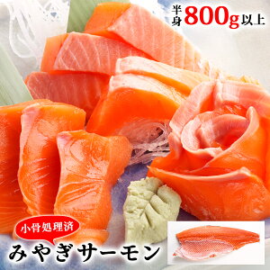 yӂ邳Ɣ[Łz {錧 ݂€T[iρjg 800gȏ Ⓚ hg H  T[   T[tB ؂g tB {T[  TP VP Ⴏ  CN 