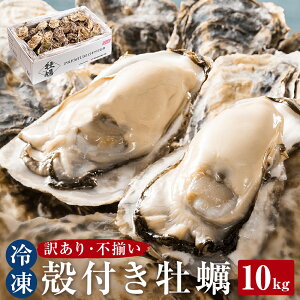yӂ邳Ɣ[ŁzseʂIׂtq 󂠂 rⓀ kt y 3kg 5kg 10kg OY s 킯 JL  Mp JJĂ KKĂ y JL ^y BBQ lĂ VN C
