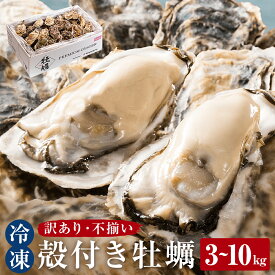 【ふるさと納税】訳あり 殻付き牡蠣 3kg 5kg 10kg 選べる 三陸産 冷凍 加熱用 カキ かき BBQ 浜焼き 宮城県 石巻市