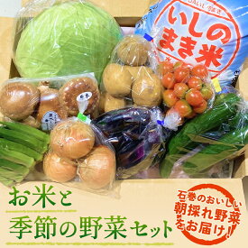 【ふるさと納税】石巻産 お米と季節の野菜セット 詰め合せ 朝採れ 旬の野菜 季節の野菜 やさい お野菜 野菜 ヤサイ 米 ひとめぼれ 5kg コメ 詰め合わせ 食材 新鮮 宮城 石巻 宮城県 石巻市