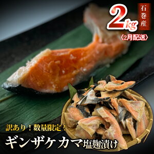 yӂ邳Ɣ[Łzy 󂠂 /  zzIׂ Y  J} Ђ 2kg Ⓚ s ƒp   T[ ċ y  J} VP Ⴏ J} 킯  Ⓚ 