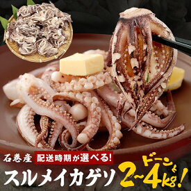【ふるさと納税】訳あり 《内容量・配送時期が選べる》 スルメイカ ゲソ 2kg 4kg 宮城県産 冷凍 国産 いか 烏賊 イカ 下足 イカゲソ 唐揚げ いかげそ おつまみ 魚介類 焼イカ BBQ わけあり 不揃い 炒め物 ゲソ天 唐揚げ イカゲソ2kg イカゲソ4kg 宮城県 石巻市 宮城 石巻