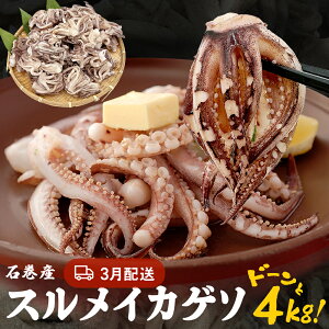 yӂ邳Ɣ[Łz󂠂 seʁEzIׂt XCJ Q\ 2kg 4kg {錧Y Ⓚ Y  G CJ  CJQ\ g  ܂  ăCJ BBQ 킯 s