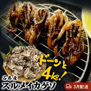 yӂ邳Ɣ[Łz󂠂 seʁEzIׂt XCJ Q\ 2kg 4kg {錧Y Ⓚ Y  CJ CJQ\ g  ܂  ăCJ BBQ 킯 s uߕ 