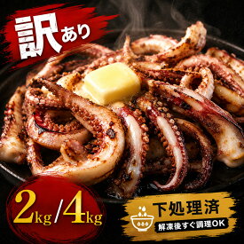 【ふるさと納税】訳あり スルメイカ ゲソ 2kg 4kg 石巻産 冷凍 国産 イカゲソ 唐揚げ おつまみ BBQ